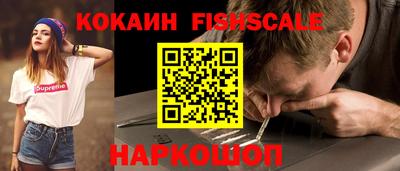 крисы Шахты