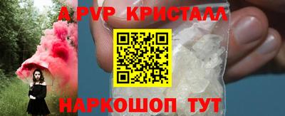спиды Донской