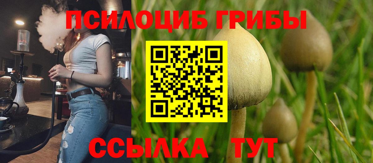 Нижний Тагил  Галлюциногенные грибы GOLDEN TEACHER  Вход с VPN 